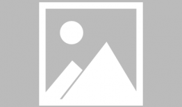 91群控直播,揭秘高效直播运营新趋势